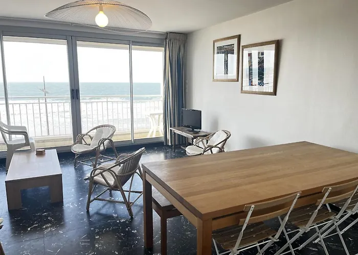 Spacieux Face Avec Balcon, Proche Du Centre Et Commerces - Fr-1-197-170 莱萨布勒-多洛讷