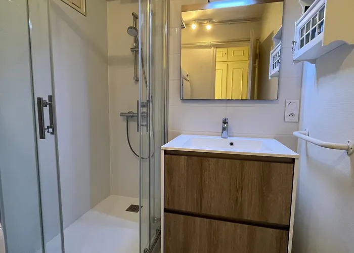 公寓 Spacieux Face Avec Balcon, Proche Du Centre Et Commerces - Fr-1-197-170 莱萨布勒-多洛讷